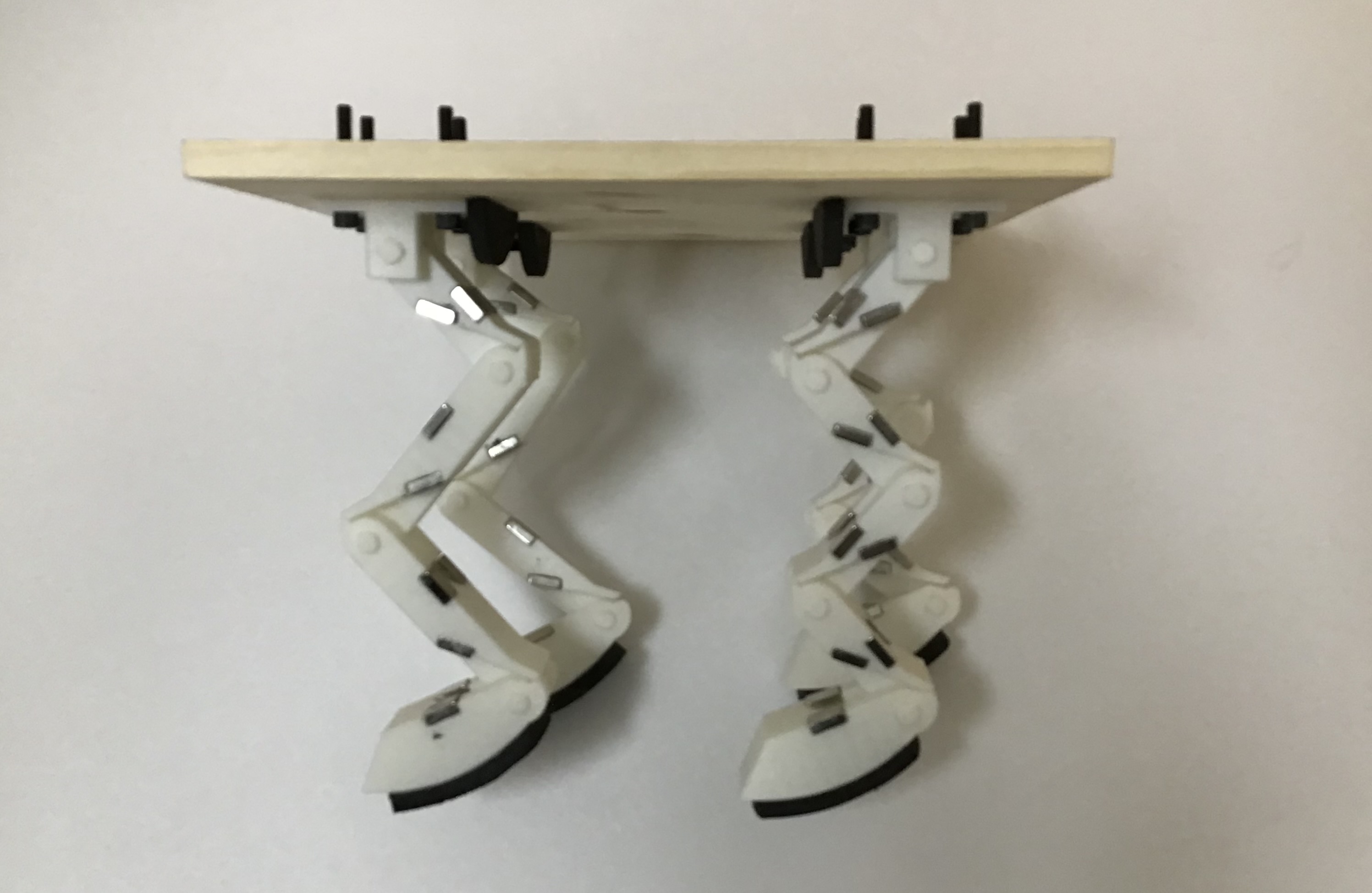 Straight Leg Arrangement