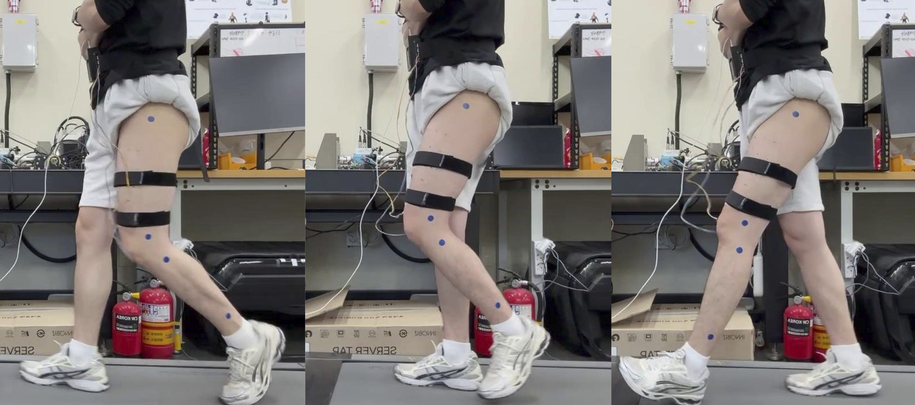 Gait Experiment