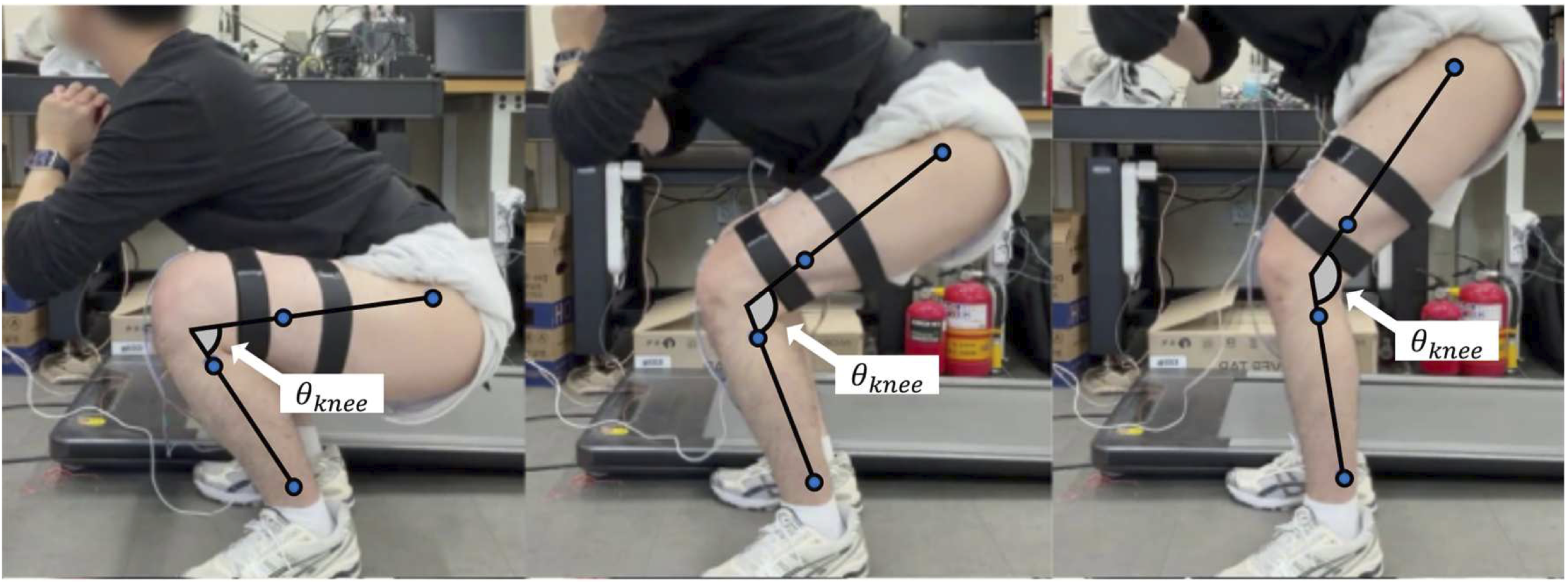 Squat Experiment
